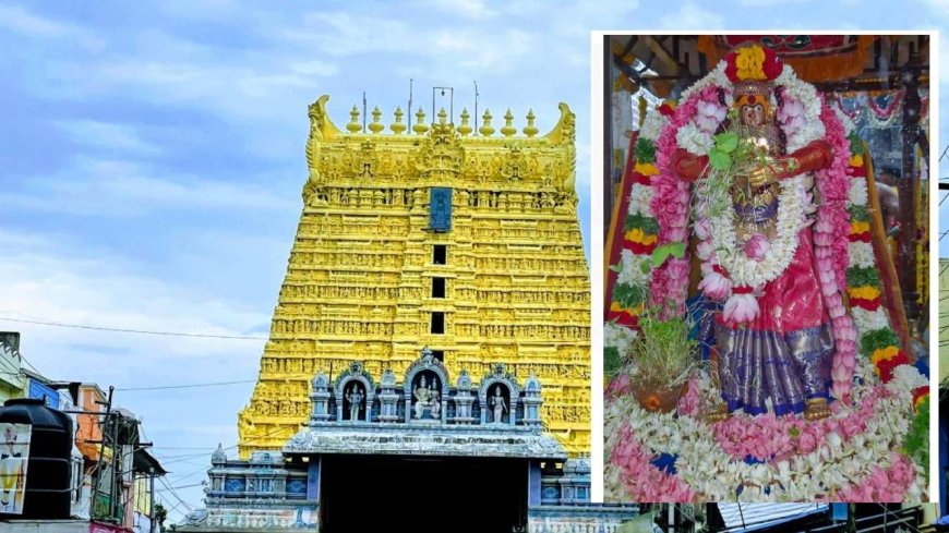 ஊசி முனையில் ஒற்றைக்காலில் தவமிருந்த கோமதி அம்மன்.. சங்கரன் கோவில் ஆடித்தபசு புராண கதை