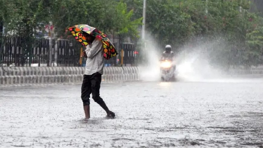 Rain: இந்தப் பக்கம் நீலகிரி... அங்க டெல்லி... வெளுத்து வாங்கும் கனமழை... பள்ளிகளுக்கு விடுமுறை!