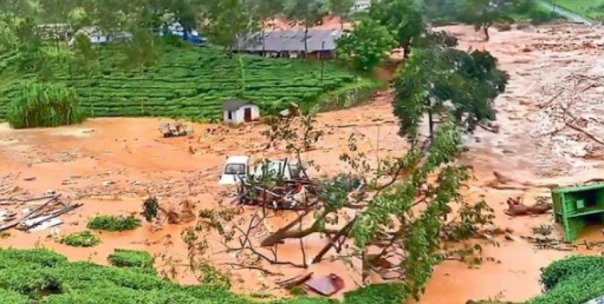 Wayanad Landslide : வயநாட்டில் எங்கும் மரண ஓலம்! கலங்கி நிற்கும் கடவுளின் தேசம்.. கரம் கொடுத்த மோடி, ராகுல்