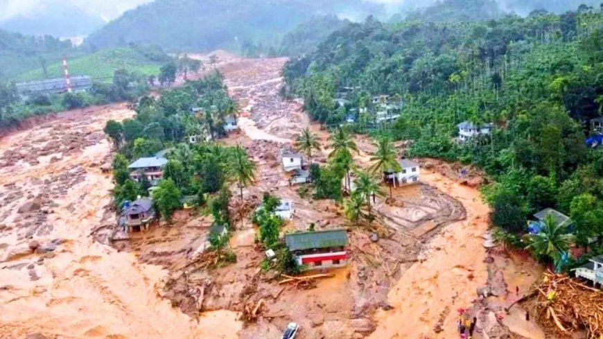 Wayanad landslide: தோண்டத் தோண்ட உடல்கள்.. எங்கும் அழுகுரல்.. கனமழைக்கு இடையே மீட்புப்பணி!