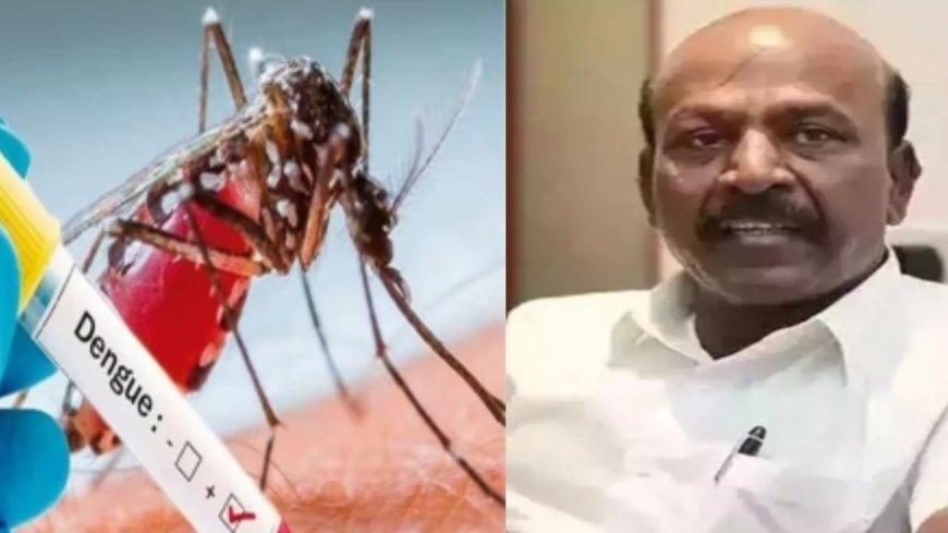 Dengue Fever in Tamil Nadu : 'டெங்கு பாதிப்பு கட்டுக்குள் உள்ளது.. மக்கள் அச்சப்பட வேண்டாம்' - மா.சுப்பிரமணியன்