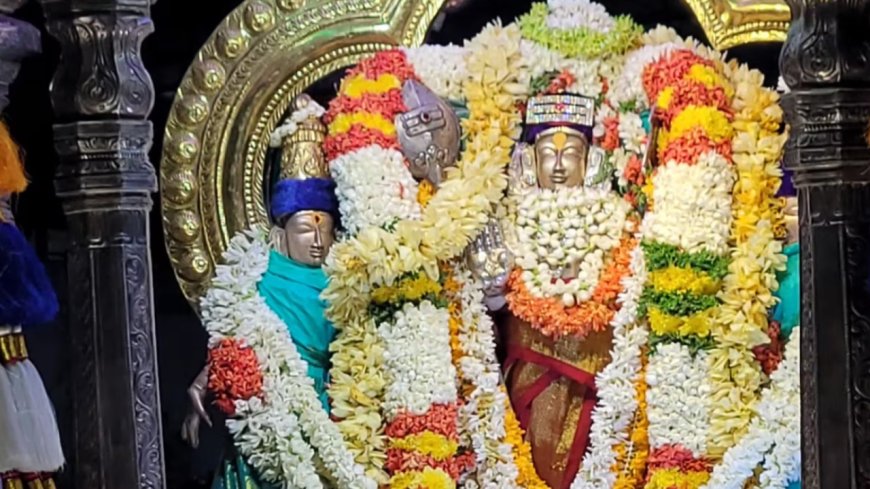 Kumarakottam Murugan Temple : குமரக்கோட்டம் முருகன் கோயில் வெள்ளித்தேர் உற்சவம்; பரவசத்தில் மூழ்கிய பக்தர்கள்