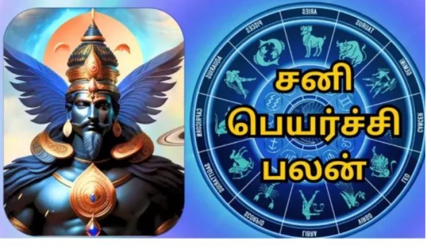 சனி பெயர்ச்சி பலன் 2025: நீங்க கடுமையான உழைப்பாளியா?.. ஏழரை சனி எதுவும் செய்யாது