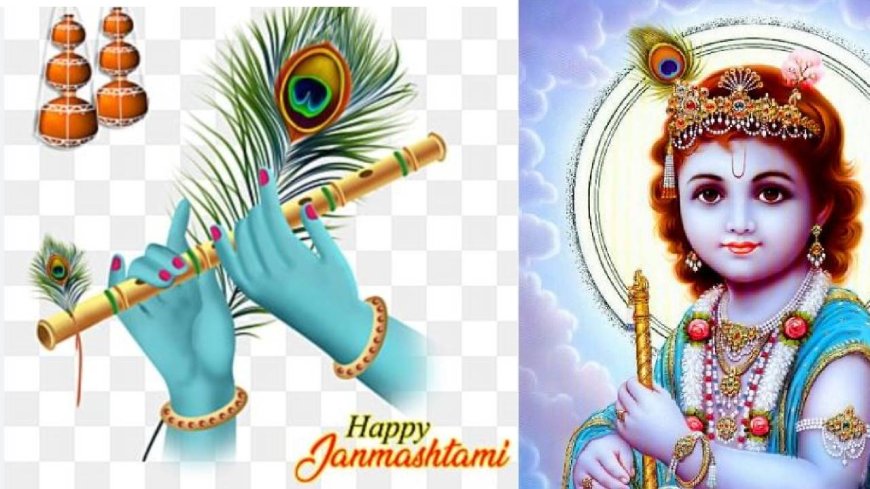 Krishna Jayanthi 2024 : மயிலிறகு சூடிய கண்ணன்... துளசியும் நாவல் பழமும் கிருஷ்ணருக்கு ஏன் பிடிக்கும் தெரியுமா?