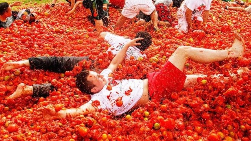 La Tomatina 2024 : 'லா டொமாடினா'.... ஸ்பெயினில் களைகட்டிய பாரம்பரியத் தக்காளி திருவிழா!