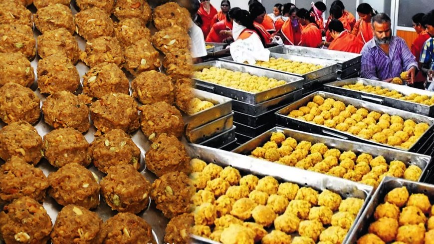 Tirupati Laddu Issue : திருப்பதிக்கு நெய் சப்ளை செய்த நிறுவனத்துக்கு நோட்டீஸ்.. மத்திய சுகாதாரத்துறை அதிரடி