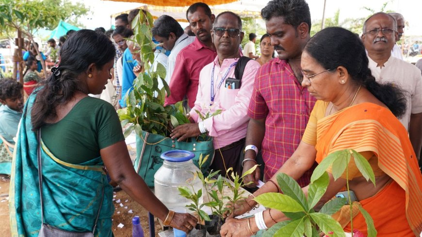 தென்னைக்கு இடையே அவகோடா.. லாபத்தை அள்ளித்தரும் என விவசாயி உறுதி!..