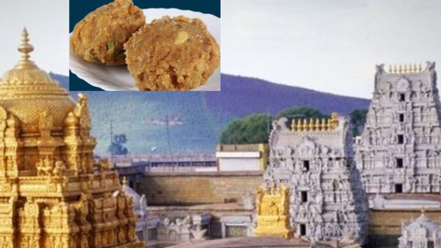 Tirupati Laddu : திருப்பதி லட்டில் விலங்குகளின் கொழுப்பு..  சாட்டை சுழற்றும் சந்திரபாபு நாயுடு.. மறுக்கும் ஜெகன் மோகன்