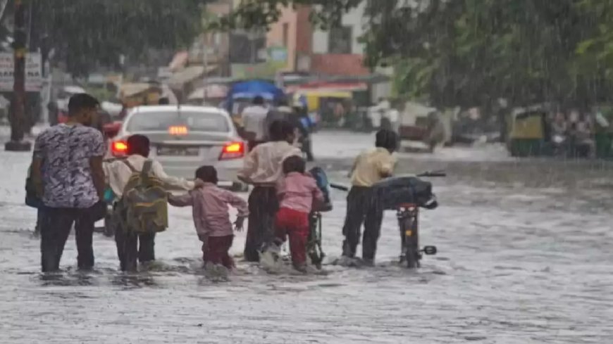 School College Holiday: கனமழை எதிரொலி..  நாளை பள்ளி, கல்லூரிகளுக்கு விடுமுறை